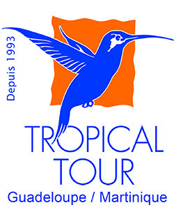 Tropical Tours
